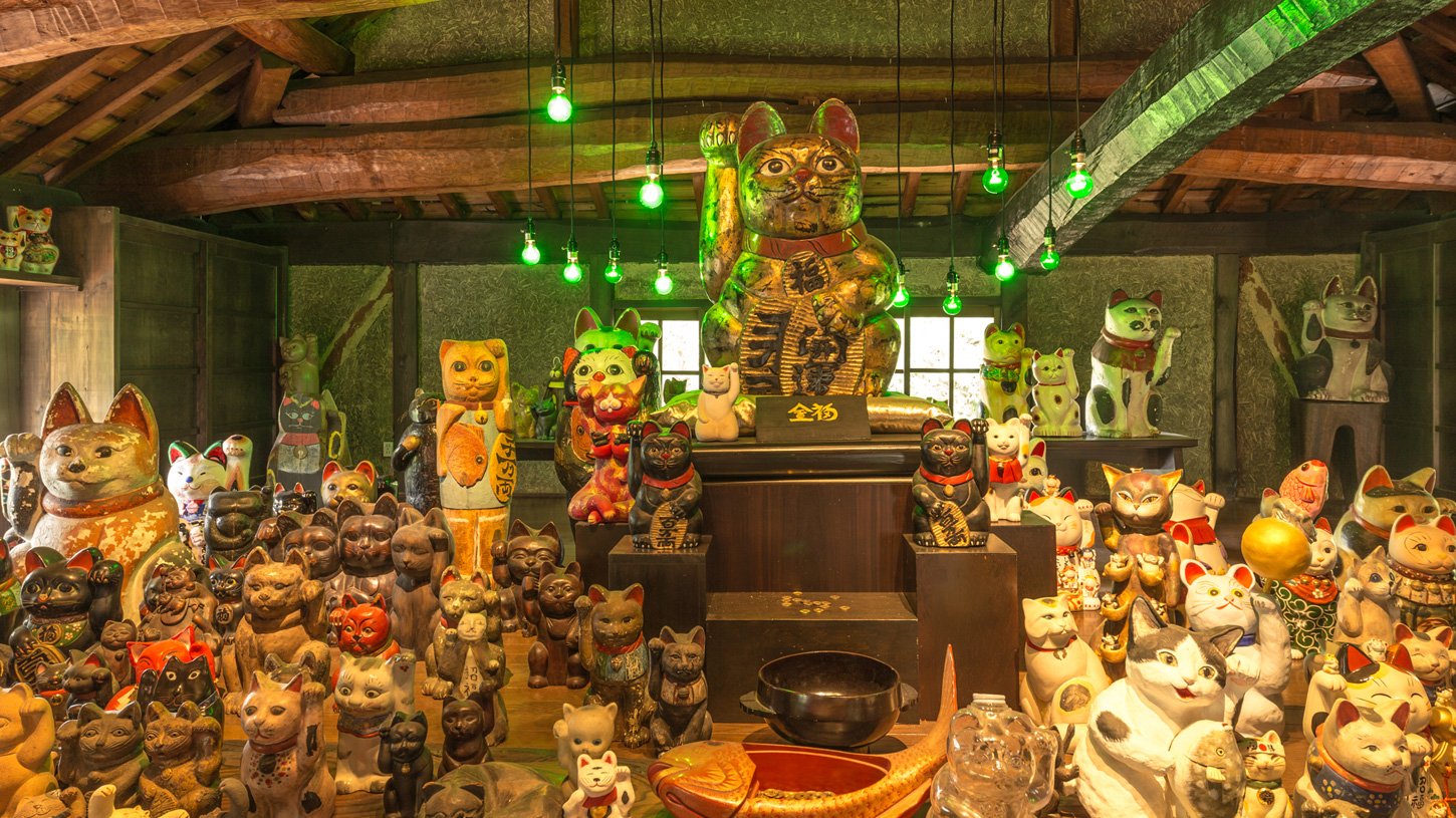 🎨 마네키네코 미술관(마네키네코 비주츠칸) 이미지 1